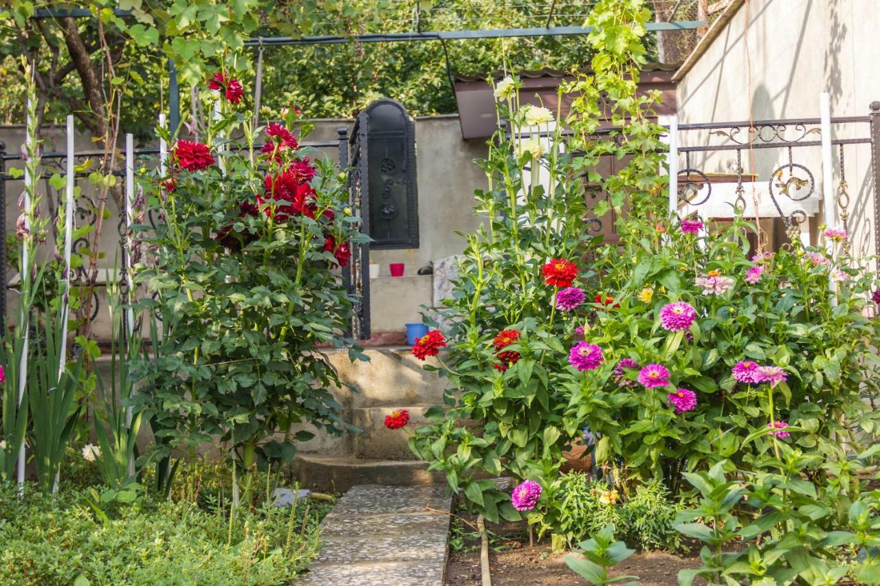 Apartament Sofia Tbilisi Exteriér fotografie